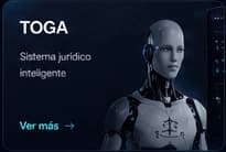 Vista del producto TOGA